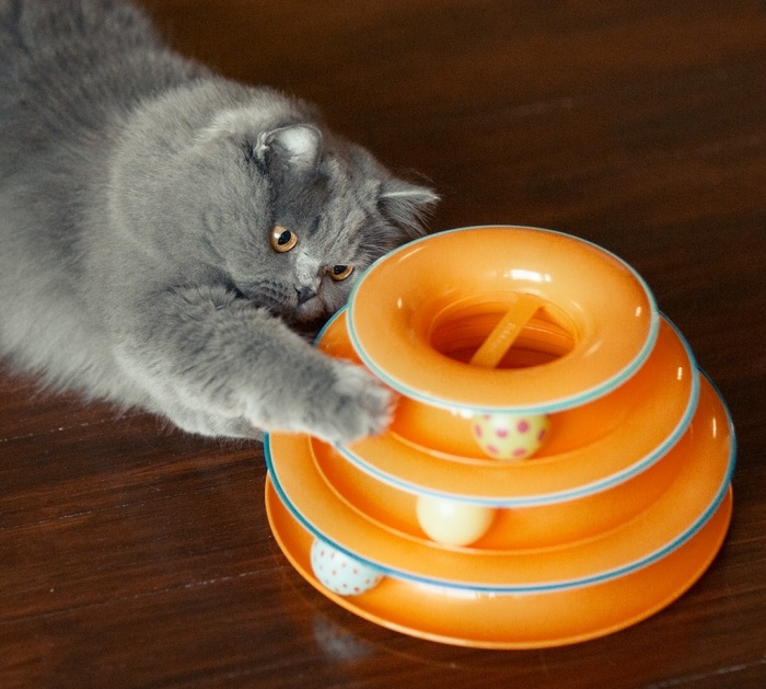 Actual product image Petstages Cat Toy Tower of Tracks (Catmint toy)