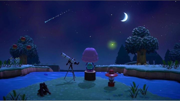 Produktbild Nintendo Switch Lite + Animal Crossing + Switch Online