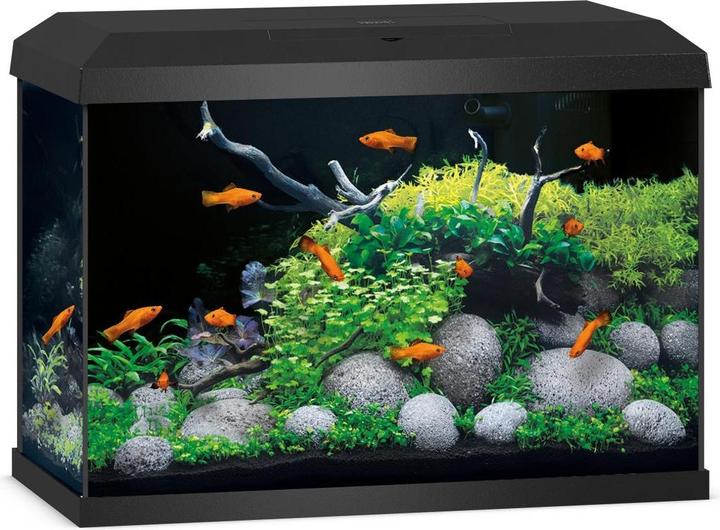 Aquarium