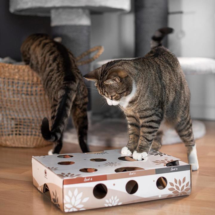 Actual product image CanadianCat Cat Strategy Game MagicBox, Brown-White (Intelligence toy cat)