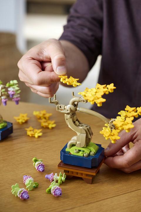 Produktbild LEGO Mini-Bonsais Set (10373, LEGO Botanicals)