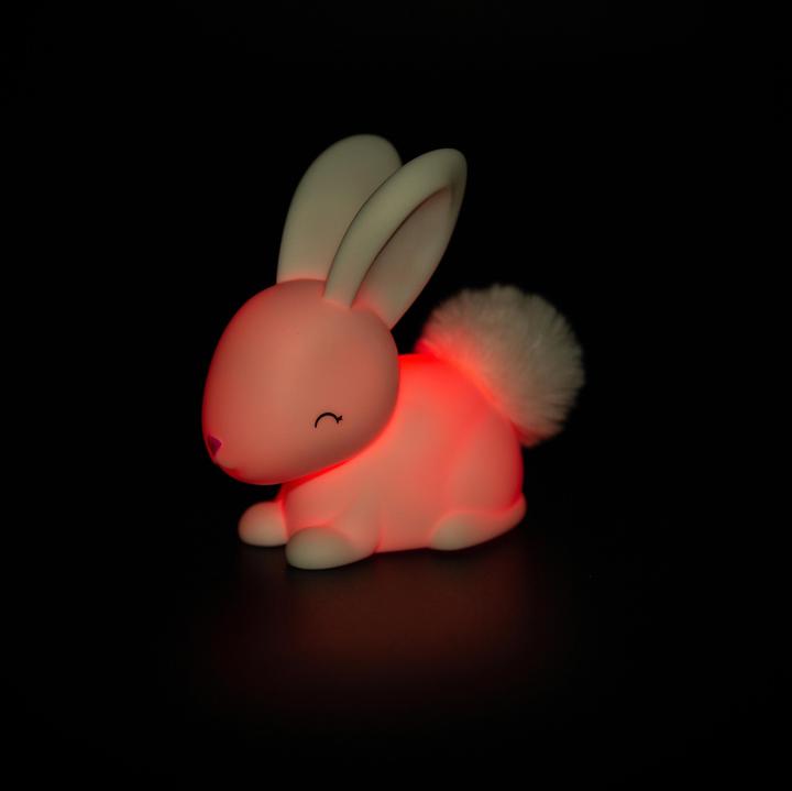 Actual product image Dhink Bunny