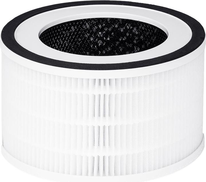Actual product image Hombli Smart Air Purifier (25 m²)