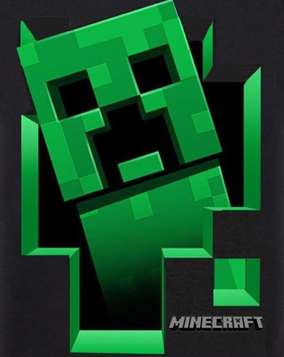 Produktbild Minecraft Inside Tshirt Jungen (128)