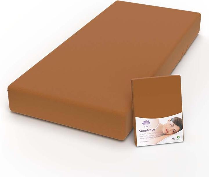 Image du produit Lotus Bettwaren Drap-housse en jersey Souplesse (140 x 200 cm, 160 x 200 cm)