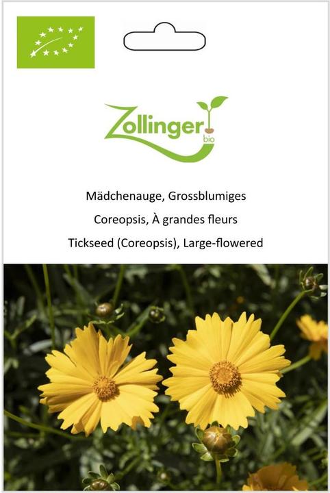 Image du produit Zollinger Bio Oeil de jeune fille, grande fleur (Plante bulbeuse)