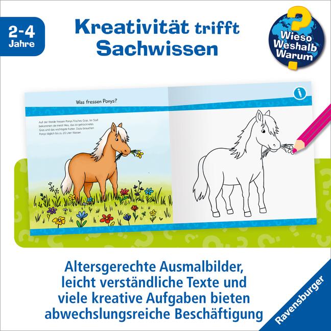 Immagine prodotto Ravensburger Wieso? Weshalb? Warum? junior AKTIV: Auf dem Ponyhof (Tedesco, Marie Zippel, 2024)