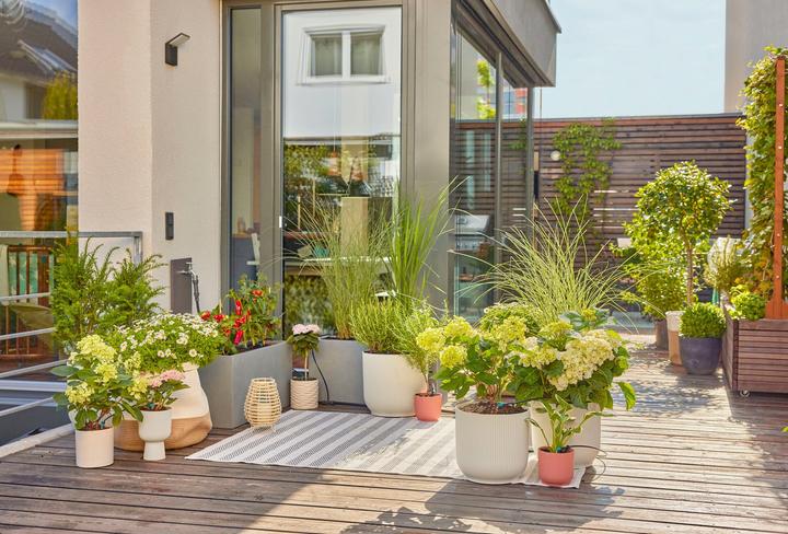 Actual product image Gardena Micro-Drip-System Set Terrace (Drip irrigation set)