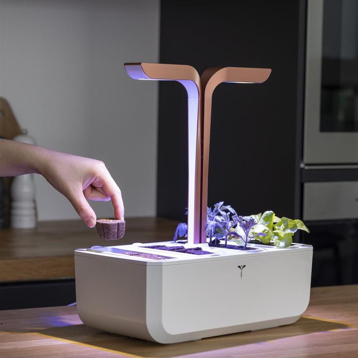 Produktbild Véritable Seedling Kit Refills