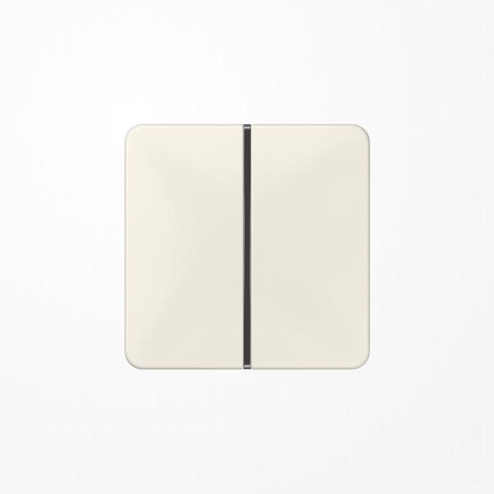 Actual product image JUNG Rocker 1t switch CD ws glz CD401TSA