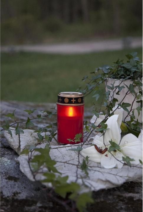 Immagine prodotto Star Trading Sereno (1 x)