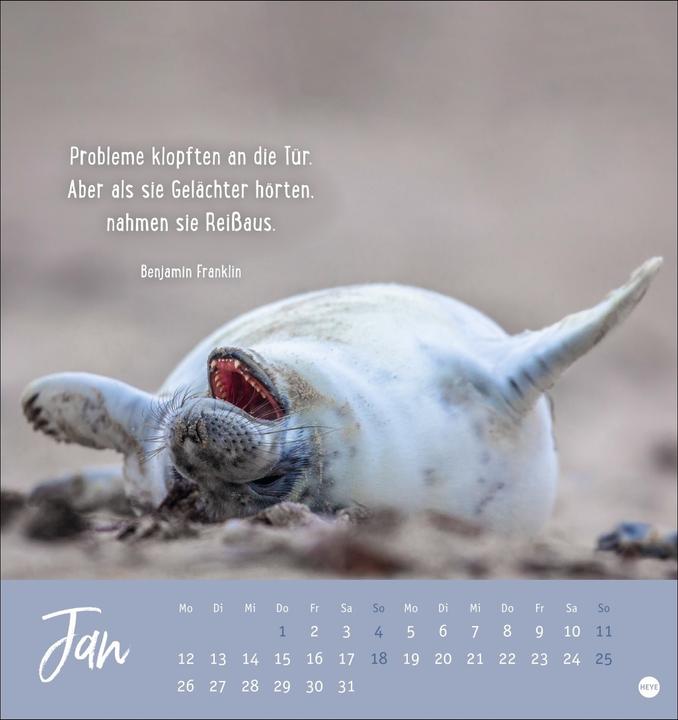 Produktbild Never give up! Postkartenkalender 2026 - Durchhalten. Denn alles wird gut (Deutsch)