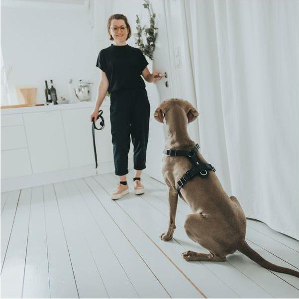 Produktbild Hunter Geschirr Aalborg (XS, Hund, Allgemein)