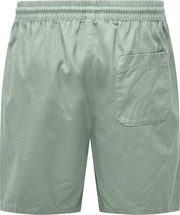 Produktbild Only & Sons ONSTEL Normal geschnitten Shorts Shorts