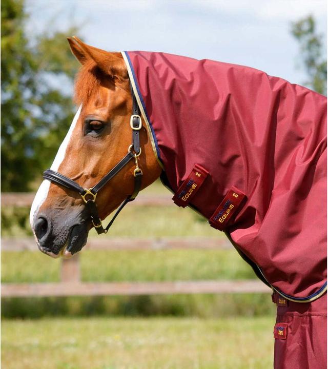 Actual product image Premier Equine Buster 0 g (221 cm)