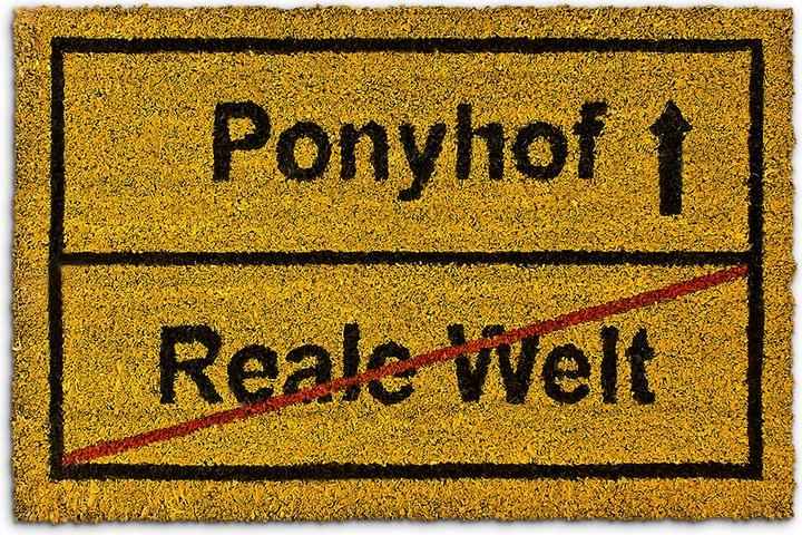 Produktbild Relaxdays Ponyhof (40 x 60 x 1.5 cm)