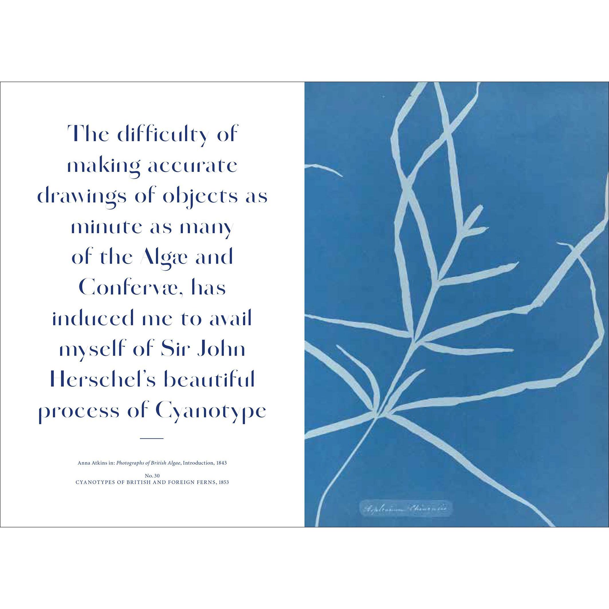 Thumbnail - Anna Atkins, Sachbücher von Rolf Sachsse