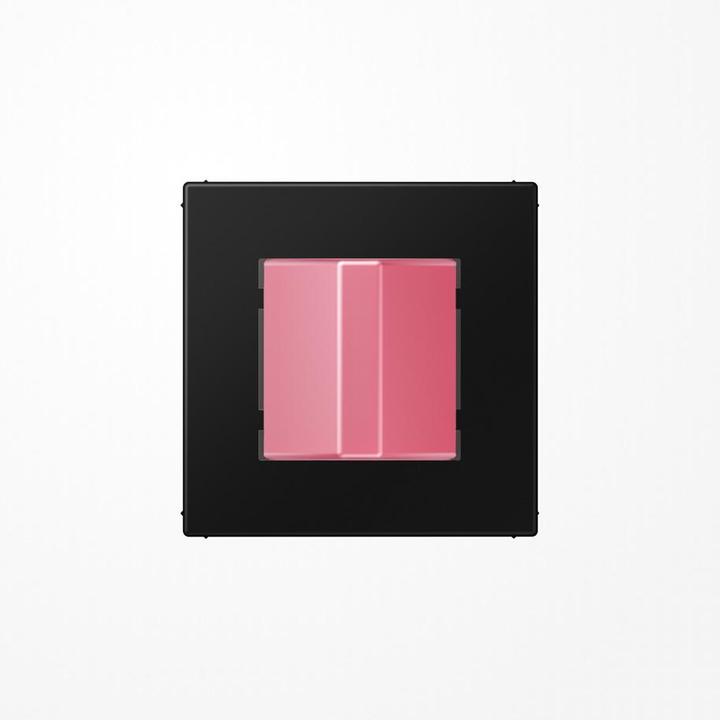 Actual product image JUNG Call module