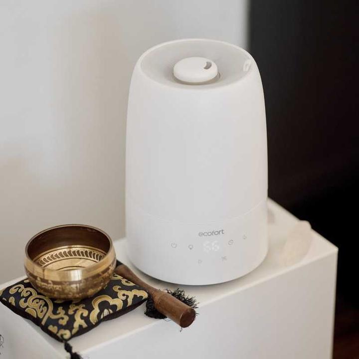 Actual product image ecofort ecoQ HumidAir U250 (35 m²)