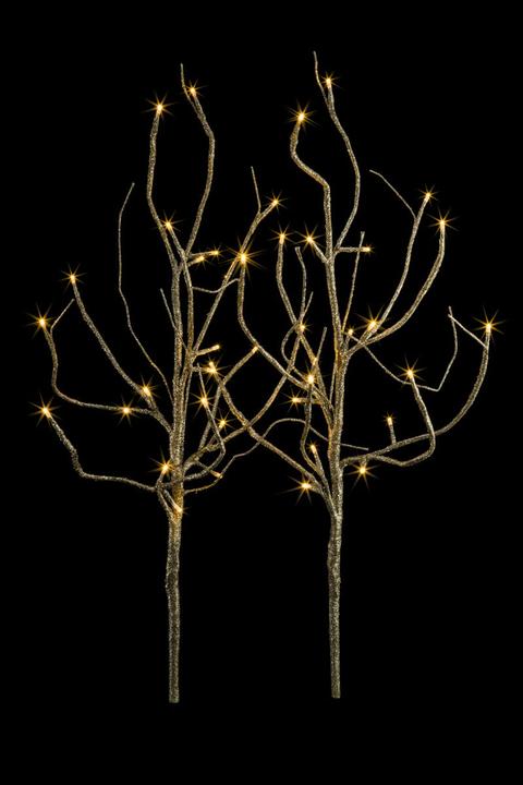 Image du produit STT Branche LED