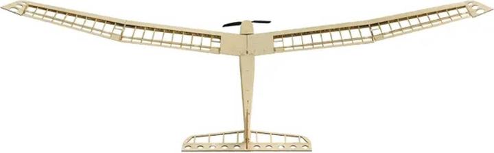 Actual product image Pichler AION glider / 2500 mm wooden kit (Glider)