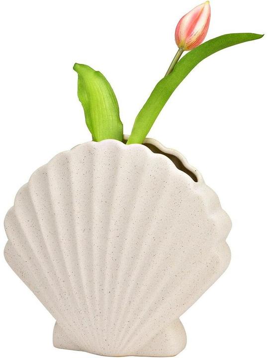 Immagine prodotto G. Wurm Vase Muschel 17 cm, Beige, Assortiert: Nein, Höhe (1 x)