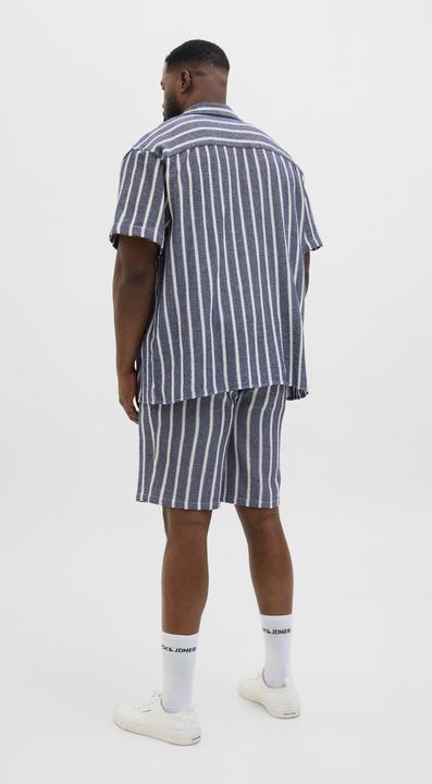 Actual product image Jack & Jones Jpstjaiden Coba Stripe Jog Short Sn Pls (42)