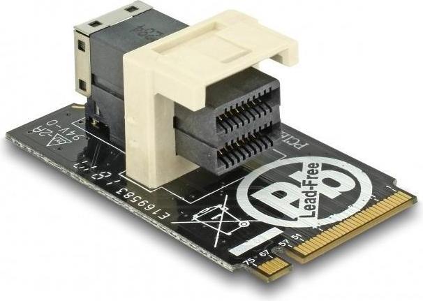 Delock SFF-8643 NVMe horizontal 2242