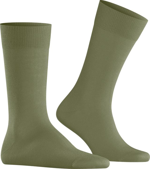 Actual product image Burlington Lord (Single pack, 46 - 50)
