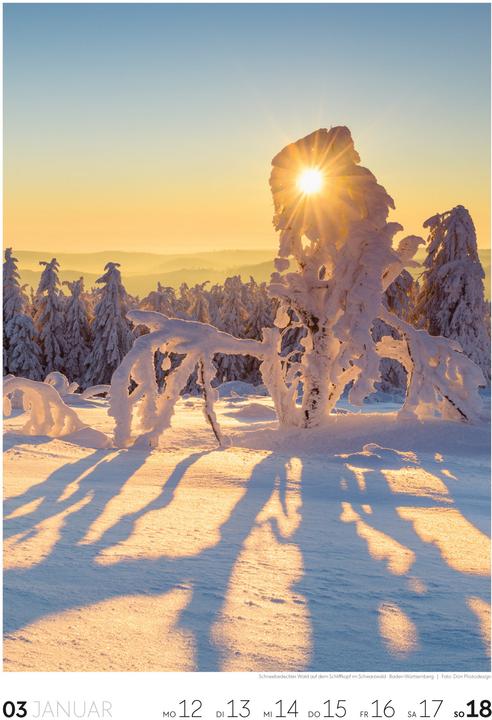 Actual product image Natur - Wochenkalender 2026