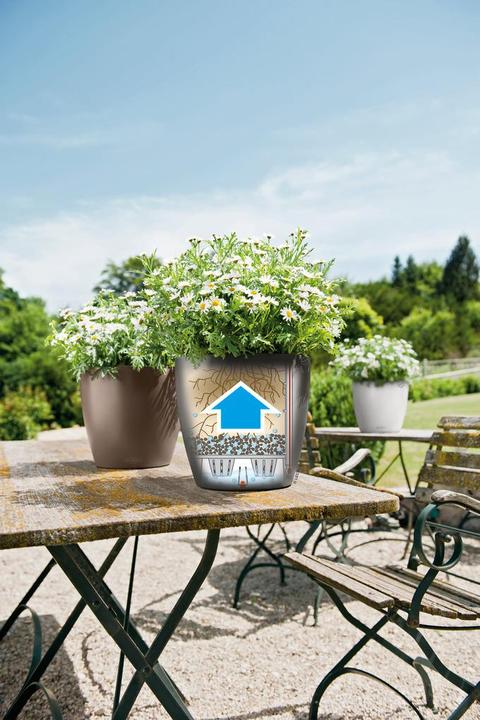 Immagine prodotto Lechuza Classico Color (27.50 cm)