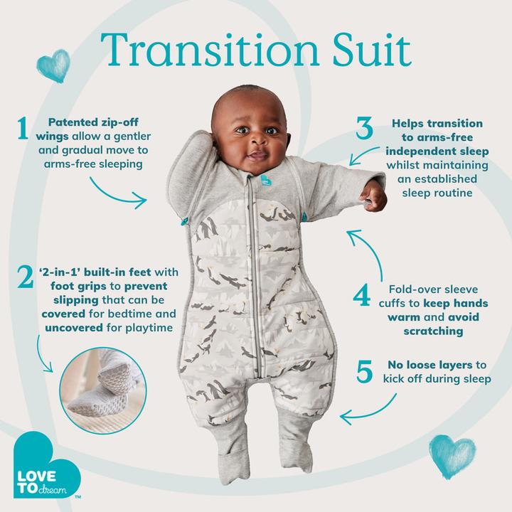 Produktbild Love to Dream Swaddle UP (76 cm, 2.5 TOG, Winter)