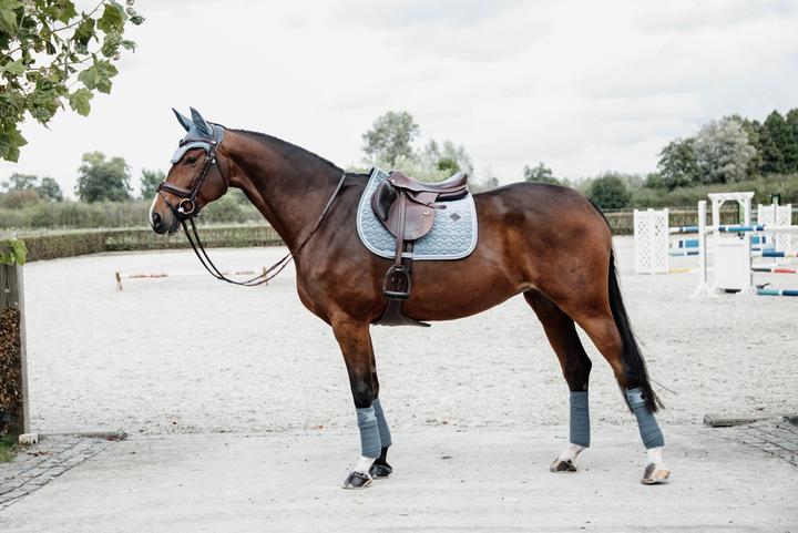 Actual product image Kentucky Horsewear Saddle pad for horses