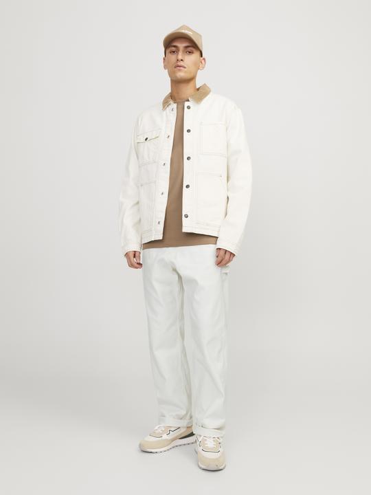 Actual product image Jack & Jones Loose fit cargo trousers Trousers (36)