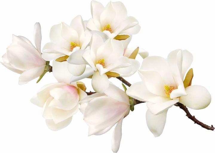 Actual product image Valmont Jazzy Twist (Eau de parfum, 100 ml)