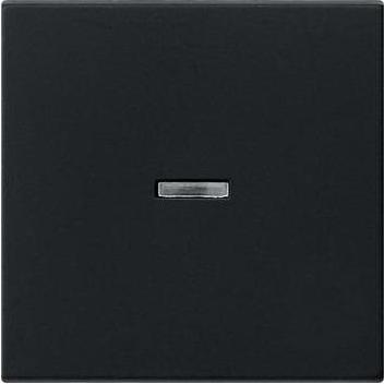 Thumbnail - Gira Wippe m. Kontrollf. 0290005 System 55 SWm, Taster + Schalter, Schwarz
