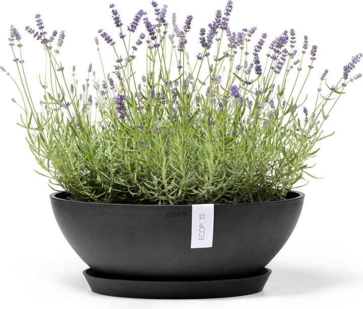 Actual product image Ecopots Vienna (50 cm)