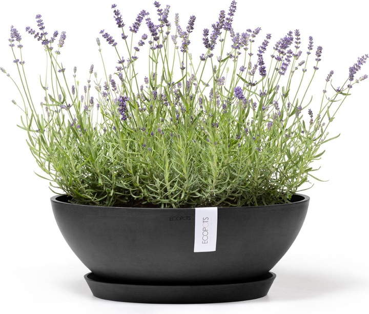 Produktbild Ecopots Vienna (50 cm)