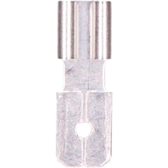 2-Power Convertitore di terminali da F1 a F2 per batterie SLA, Batterie + pile