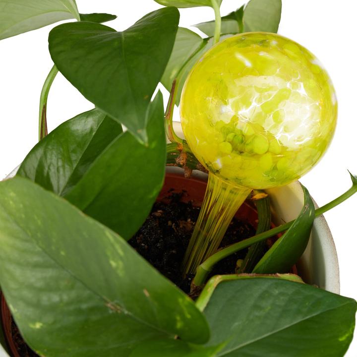 Actual product image Relaxdays Watering Globes Set of 2 (Irrigation balls)