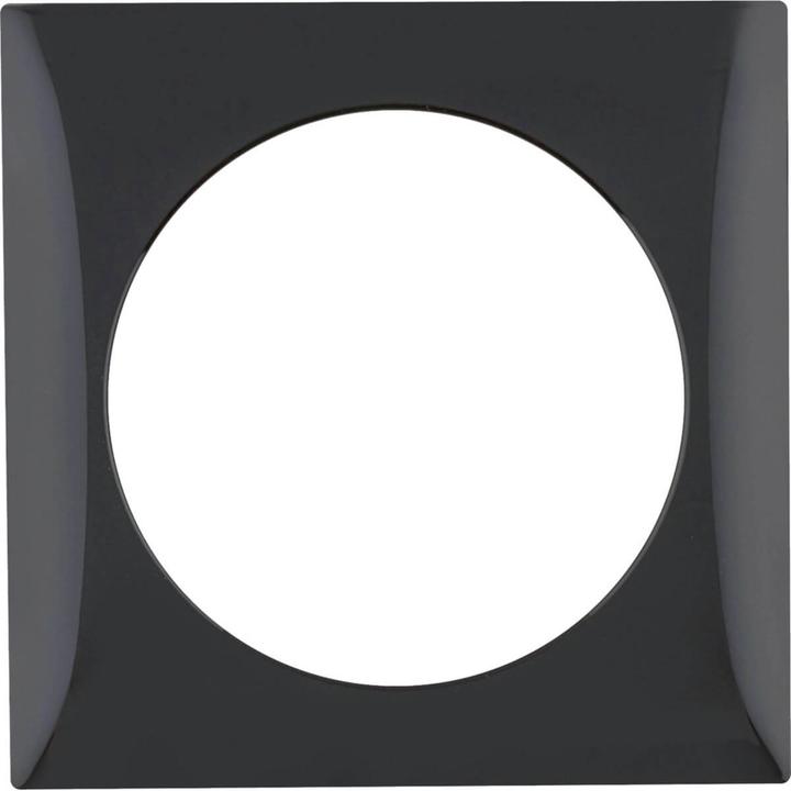 Actual product image Berker Frame