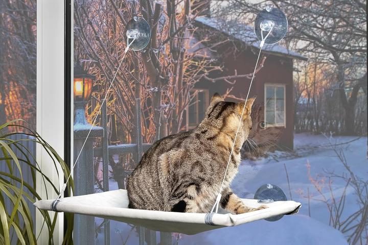Actual product image Karlie Fensterliege Window Lounger mit Saugnäpfen (Cat)