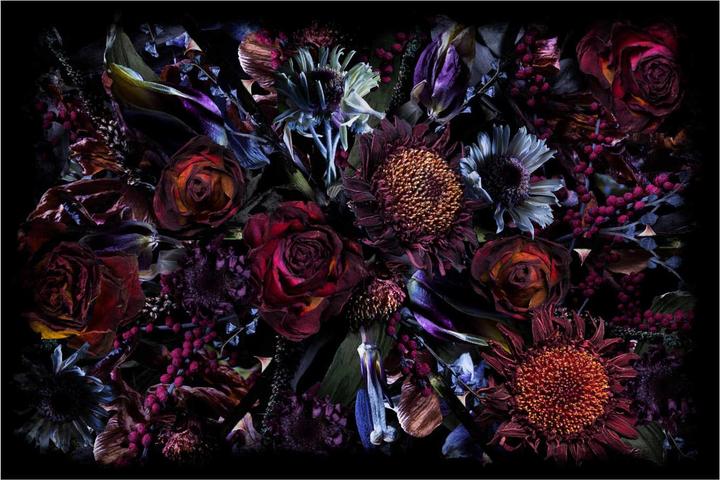 Moooi Tappeto Fool's Paradise