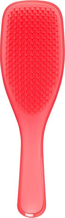 Image du produit Tangle Teezer The Wet Detangler Mini