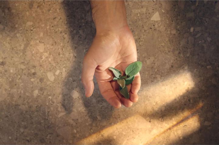 Actual product image Acqua Di Parma Colonia Futura (Eau de cologne, 180 ml)