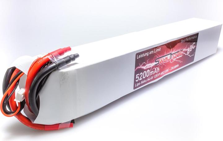 Image du produit Swaytronic Batterie (44.40 V, 5200 mAh)
