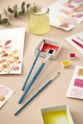 Actual product image Pebeo 8 round + flat aqua brushes