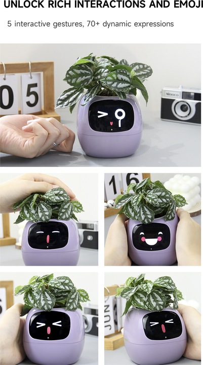 Produktbild Plantsio Ivy Smart Planter