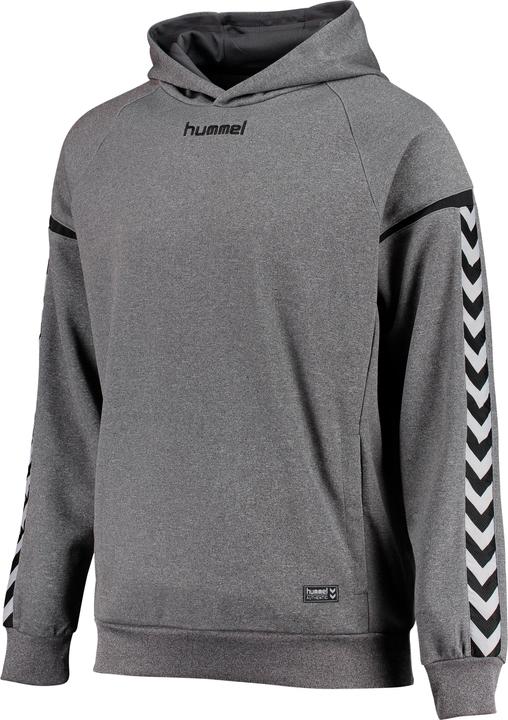 Produktbild hummel Authentic Charge Poly Hoodie (128)