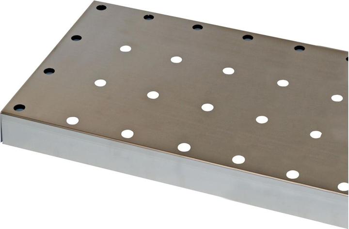 Actual product image asecos Standard perforated plate insert for CS and CX series chemical cabinets